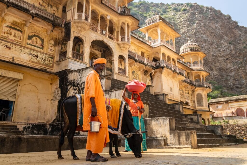 franca gielen photography india jaipur monkey temple