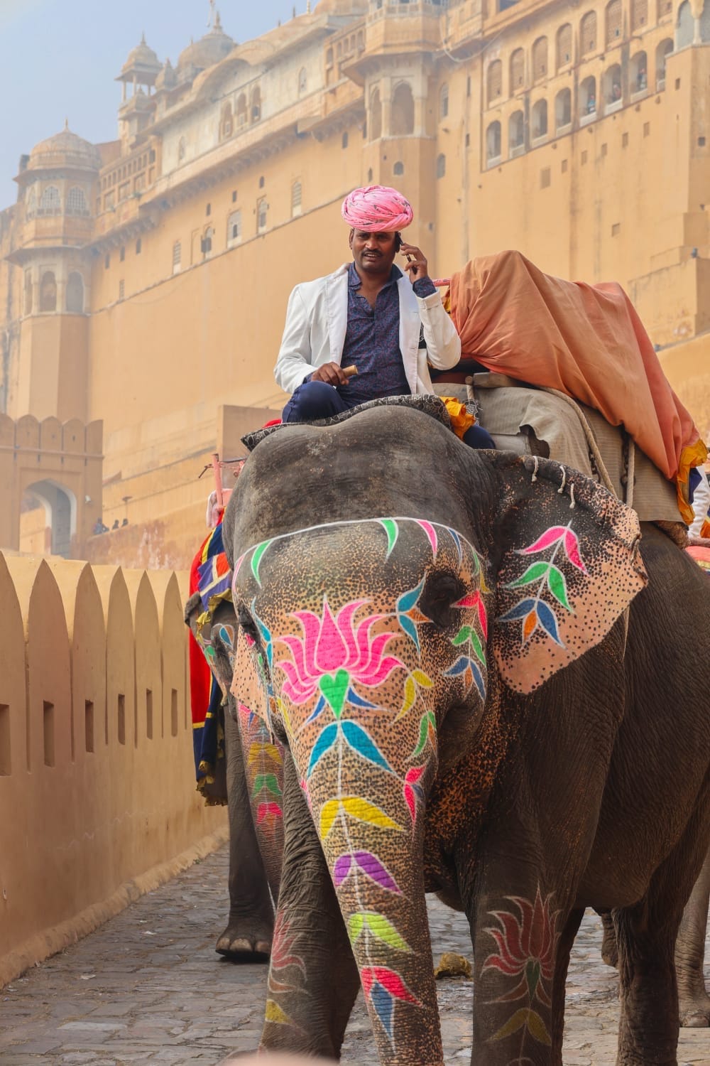 Decorated elephant at Amber, Jaipur